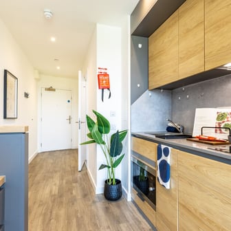 Silver Studio - Image 5